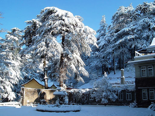 Himachal Highlight With Kasauli